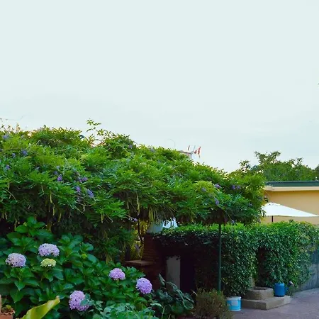 A Tintureira Holiday home