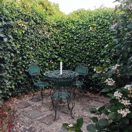 A Tintureira Tatil Evi São Martinho de Antas