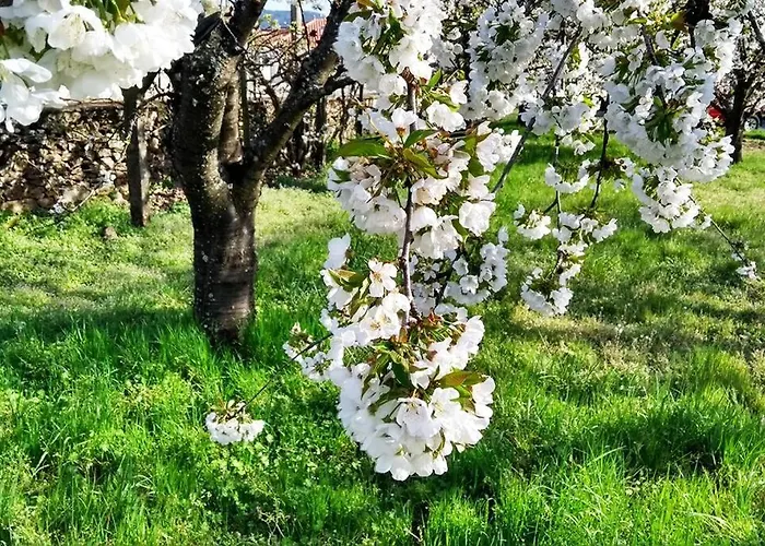 A Tintureira São Martinho de Antas